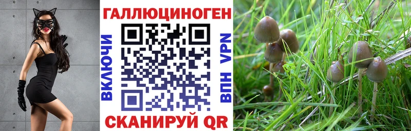 Галлюциногенные грибы мухоморы Цоци-Юрт