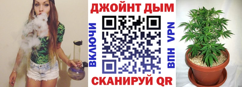 Конопля VHQ  kraken вход  Цоци-Юрт  где купить наркоту 